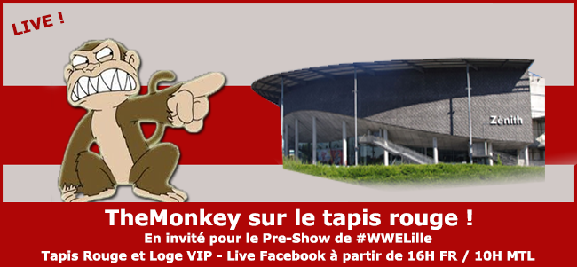 WWE Live Event Lille